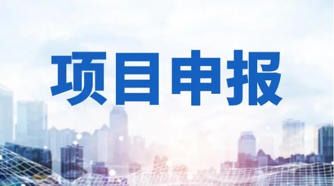 2025“兩業”專項(制造業+服務業)中央預算內投資項目申報避坑指南 2025“兩業”專項(制造業+服務業)中央預算內投資項目申報避坑指南