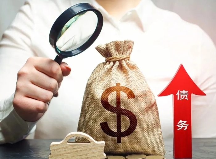 近十年(2015—2024年)專項債申報成功率分析及提高通過率的策略建議 近十年(2015—2024年)專項債申報成功率分析及提高通過率的策略建議