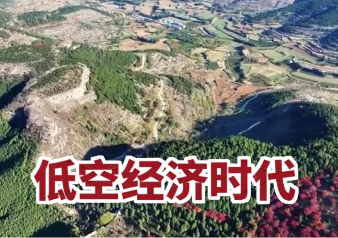 我國低空經濟產業發展概況:宏觀分析及代表性省市分析 我國低空經濟產業發展概況:宏觀分析及代表性省市分析